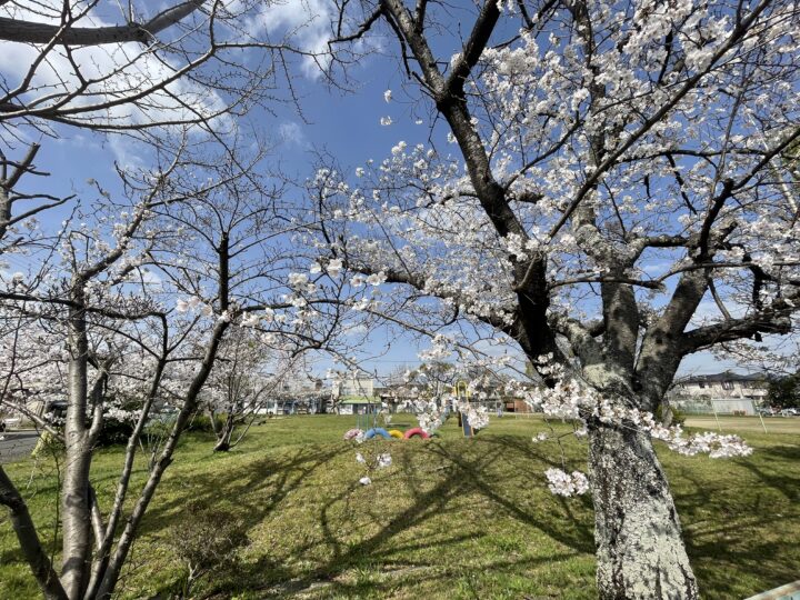 天理市庵治町：新築一戸建て