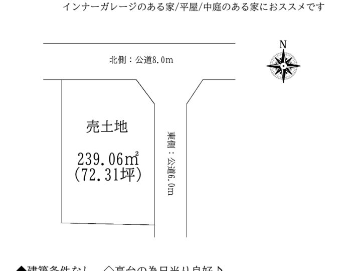 吉野郡大淀町大字北野：土地