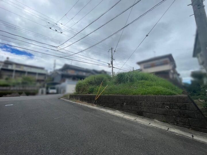 吉野郡大淀町大字土田：土地