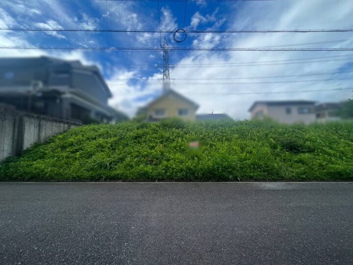 吉野郡大淀町大字北野：土地