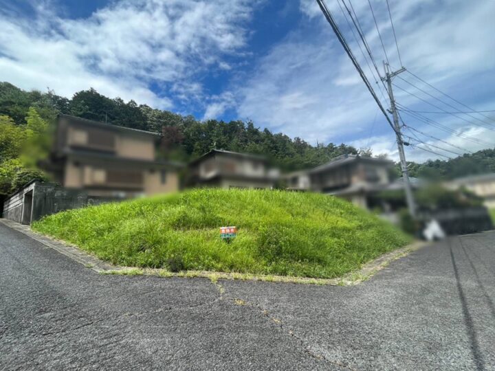 吉野郡大淀町大字土田：土地