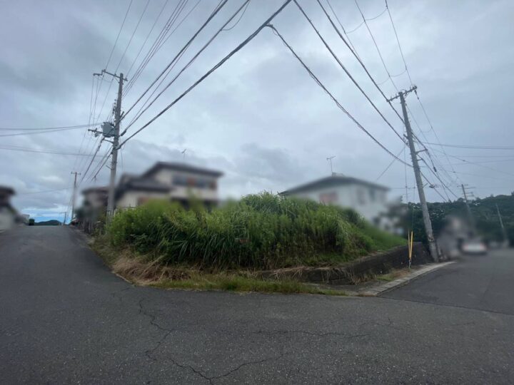 吉野郡大淀町大字土田：土地