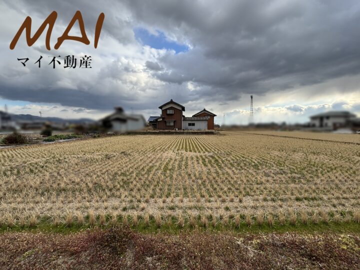 天理市東井戸堂町：土地