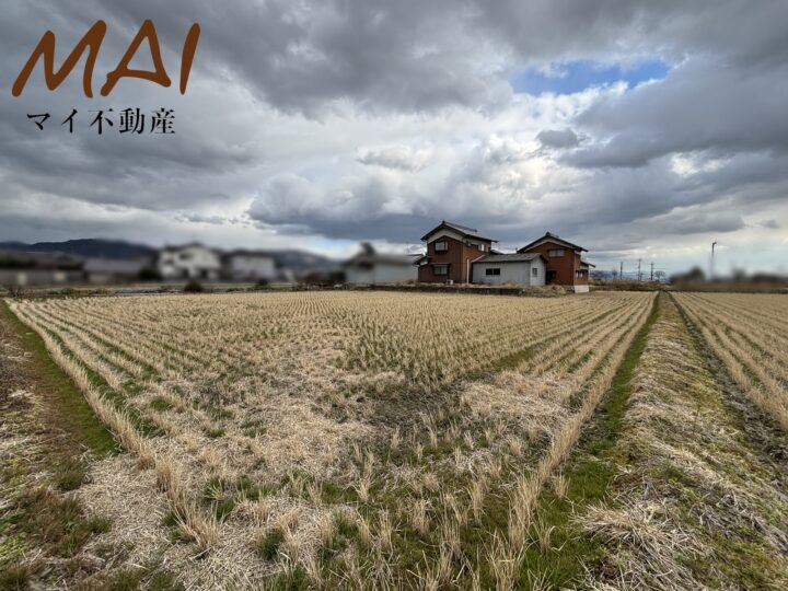 天理市東井戸堂町：土地