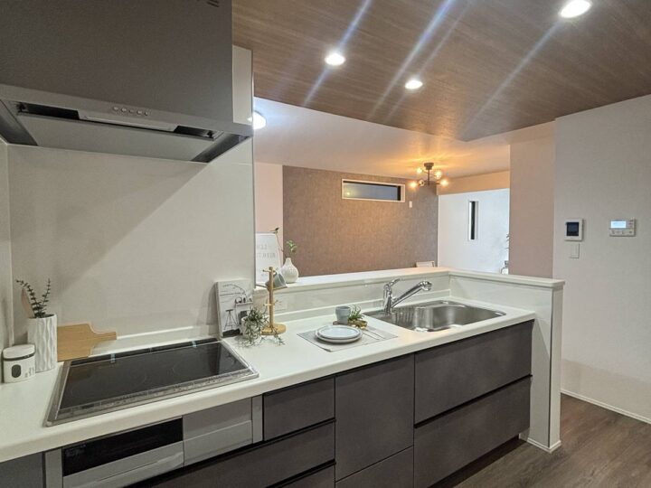 天理市石上町3号棟：新築戸建