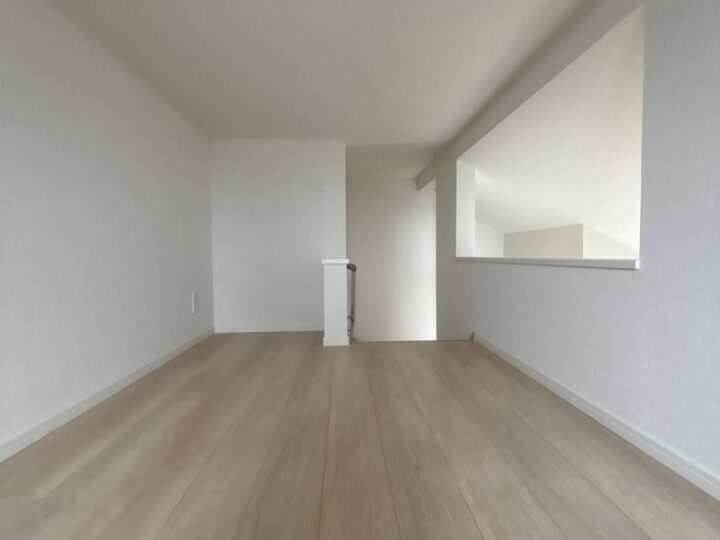 天理市田町第1-1・2号棟：新築戸建