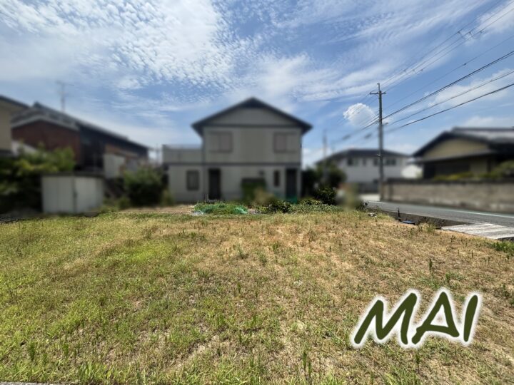 天理市柳本町：土地