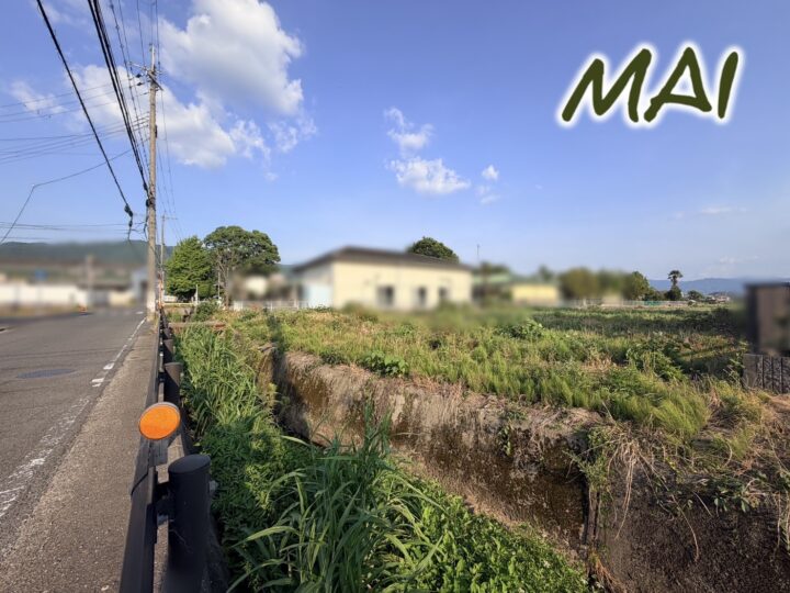 天理市柳本町:土地