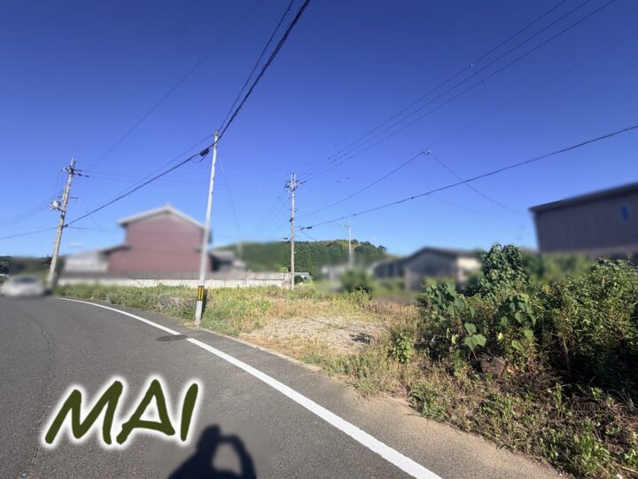 天理市櫟本町：土地
