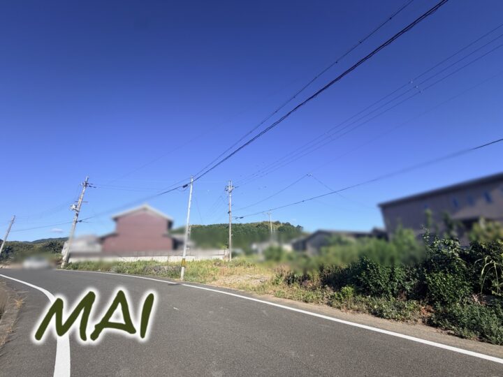 天理市櫟本町：土地