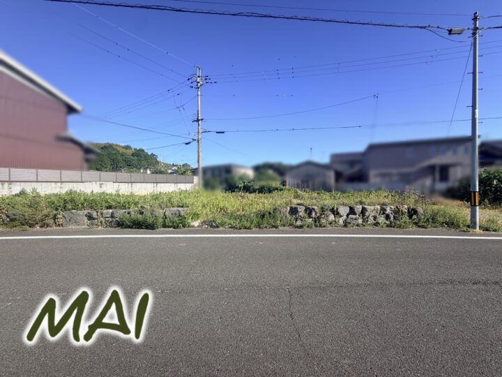 天理市櫟本町：土地