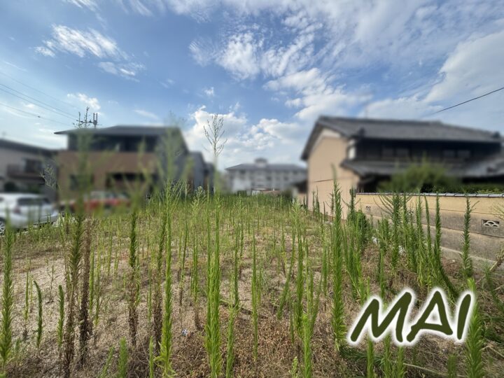 天理市勾田町：土地