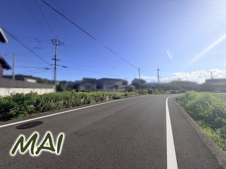 天理市櫟本町：土地