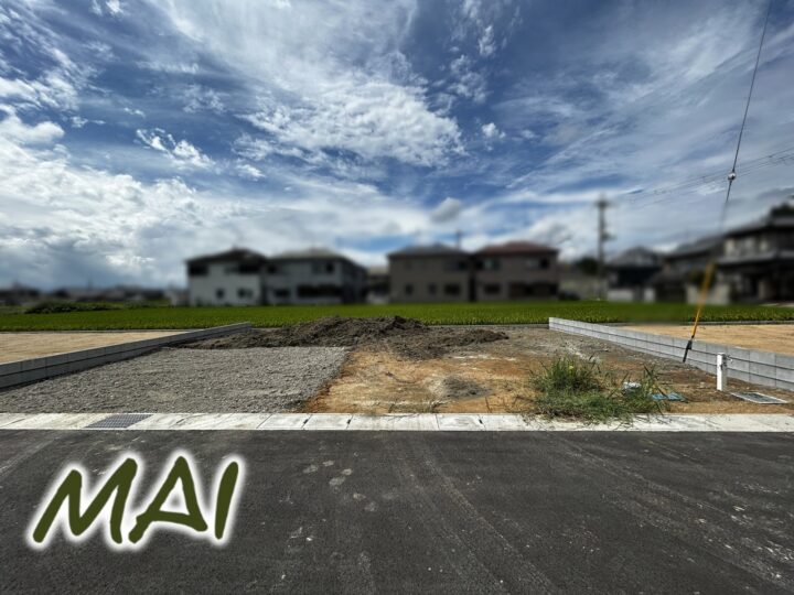 天理市丹波市町4期1号棟：新築戸建